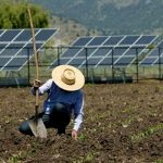 2202 energia renovavel e opcao para agricultores familiares