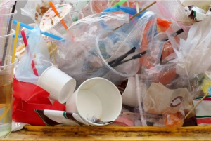 DESAFIOS E SOLUÇÕES DA POLUIÇÃO PLÁSTICA 1 plastico 300x201 1