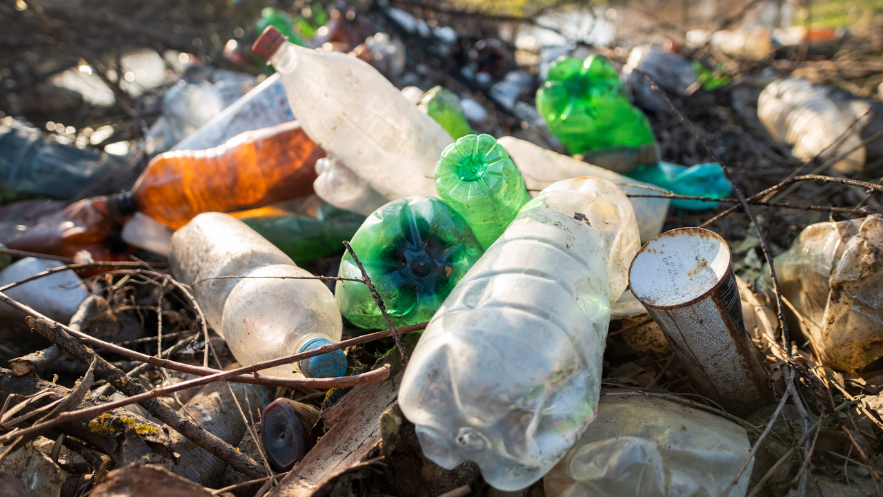 DESAFIOS E SOLUÇÕES DA POLUIÇÃO PLÁSTICA 6 solo-cheio-de-garrafas-plasticas_easy-resize.com_.jpg