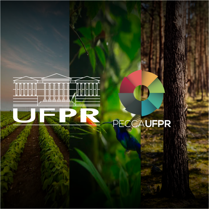 Inscrições prorrogadas até 20/05: o PECCA-UFPR abre os últimos dias de inscrição! 5 geral-q.-grande.png
