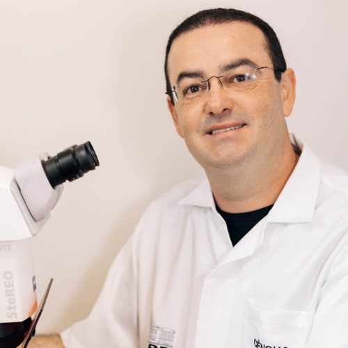 fito - Henrique da Silva Silveira Duarte