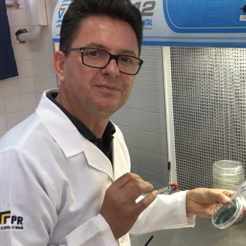 fito - Sérgio Miguel Mazaro